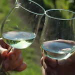 Wein- Und Gaestehaus Lutz