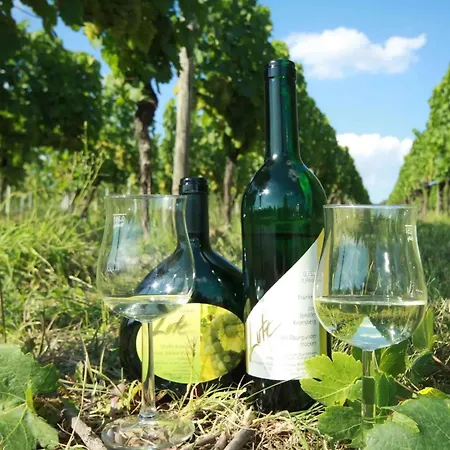 Gasthuis Wein- Und Gaestehaus Lutz 3*