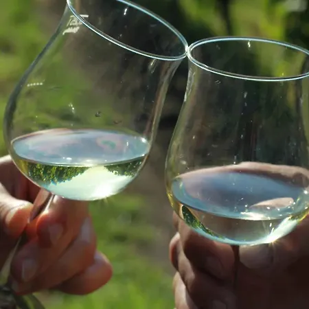 Wein- Und Gaestehaus Lutz