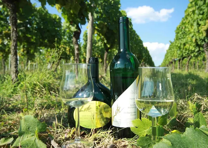 Wein- Und Gaestehaus Lutz Iphofen